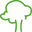 Living Broccoli logo